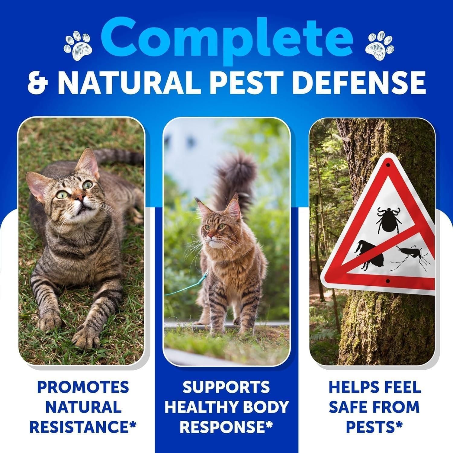 Flea Treatment for Cats Natural Flea and Tick Prevention Supplement for Cats Kittens Chewable Daily Oral Pills with Vitamins 135 Soft Chews Skin & Coat Dental treats Digestion.