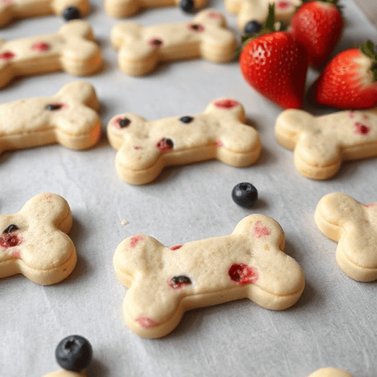 Roscoe & Stella's Gourmet Fruit Dog Treats.