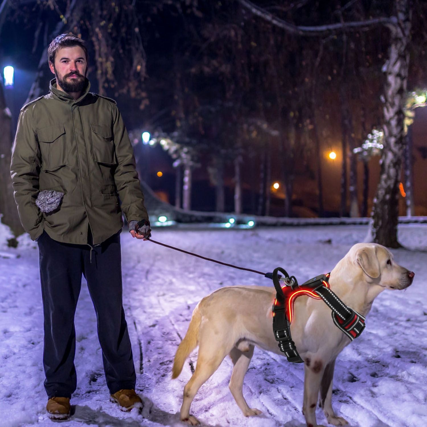 Light Up Dog Harness Rechargeable LED Dog Harness No Pull Lighted Dog Vest with Handle for Small/Medium/Large Dogs.
