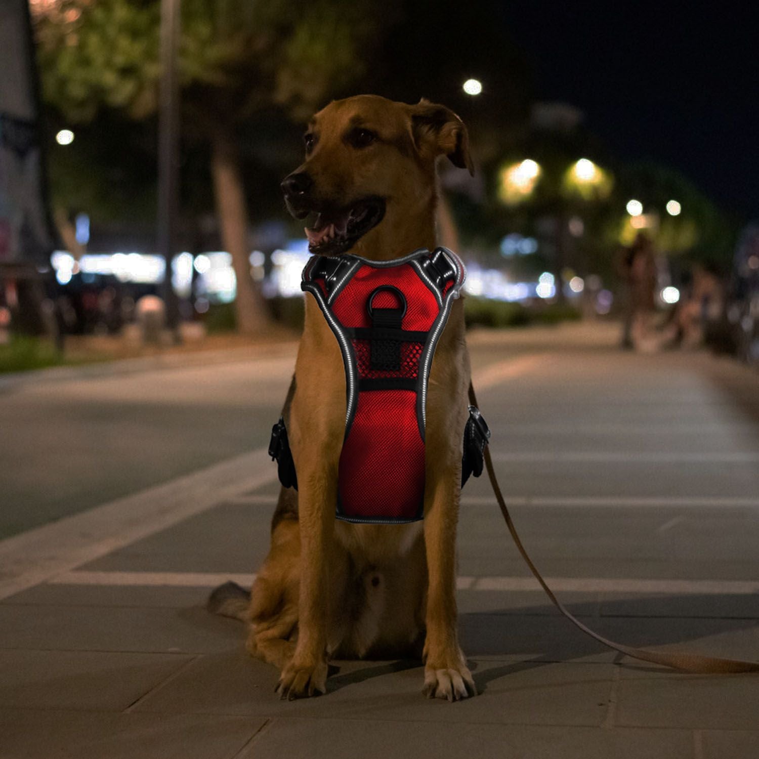 Light Up Dog Harness Rechargeable LED Dog Harness No Pull Lighted Dog Vest with Handle for Small/Medium/Large Dogs.