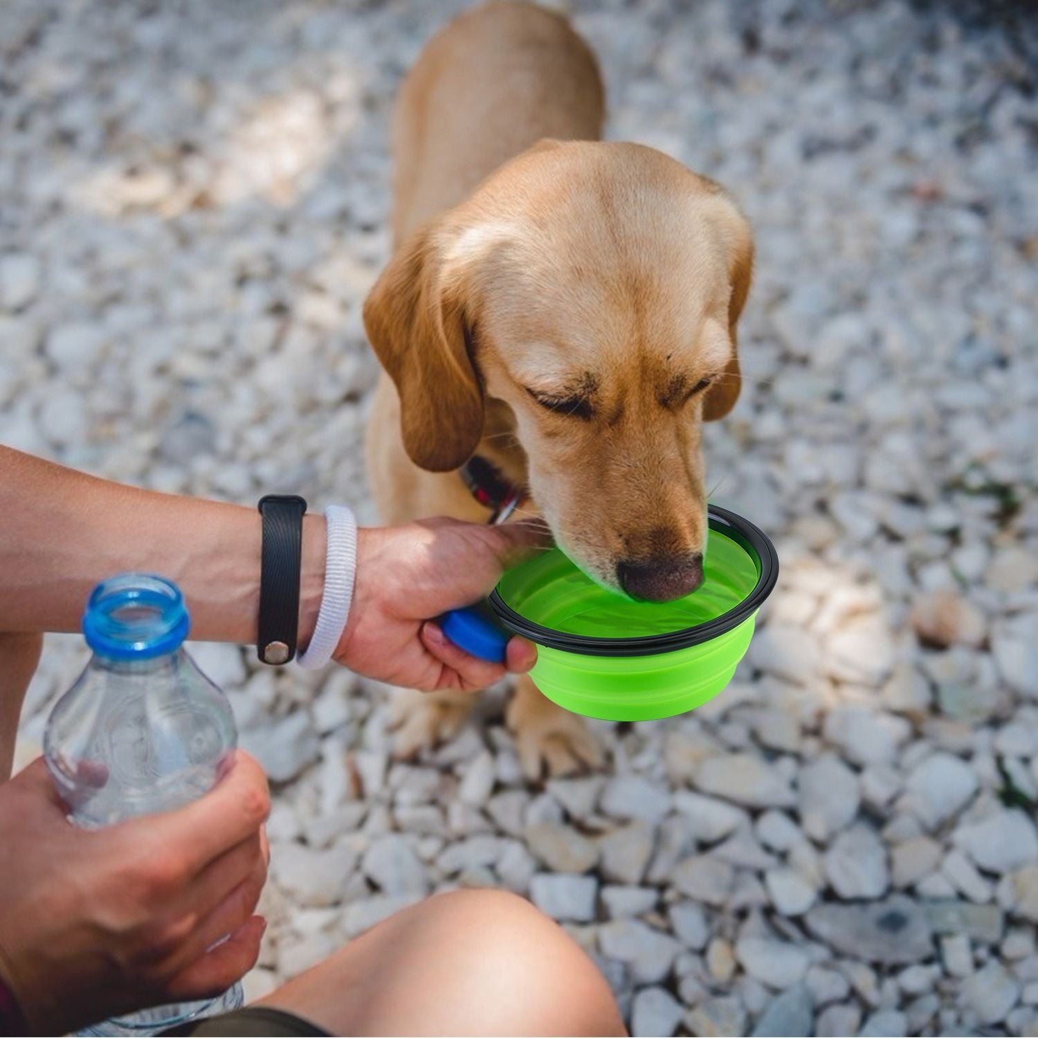4Pcs Silicone Collapsible Dog Bowls BPA Free Travel Dog Bowl Foldable Cat Dog Food Water Bowl.