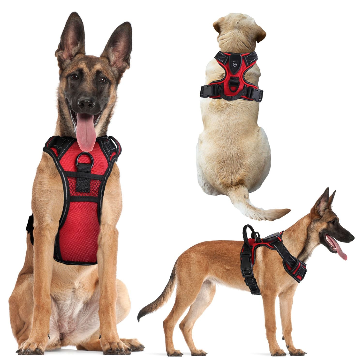 Light Up Dog Harness Rechargeable LED Dog Harness No Pull Lighted Dog Vest with Handle for Small/Medium/Large Dogs.