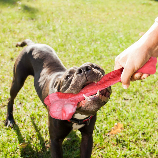 Dog Chew Toy Dog Teething Toy Dog Chew Bone with Beef Flavor Suitable for Aggressive Chewers Small Medium Large Dogs.