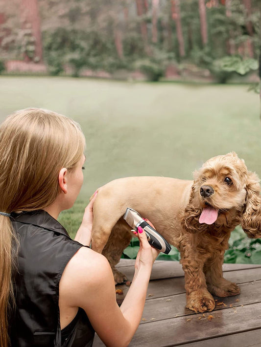Electric Pet Clipper Combination Set USB Rechargeable Dog Hair Clipper Cat Grooming Shaver Clipper - Firstpetcentral