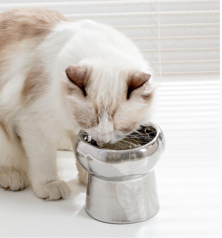 Electroplated Mirror Ceramic Cat Bowl Pet Bowl - Firstpetcentral