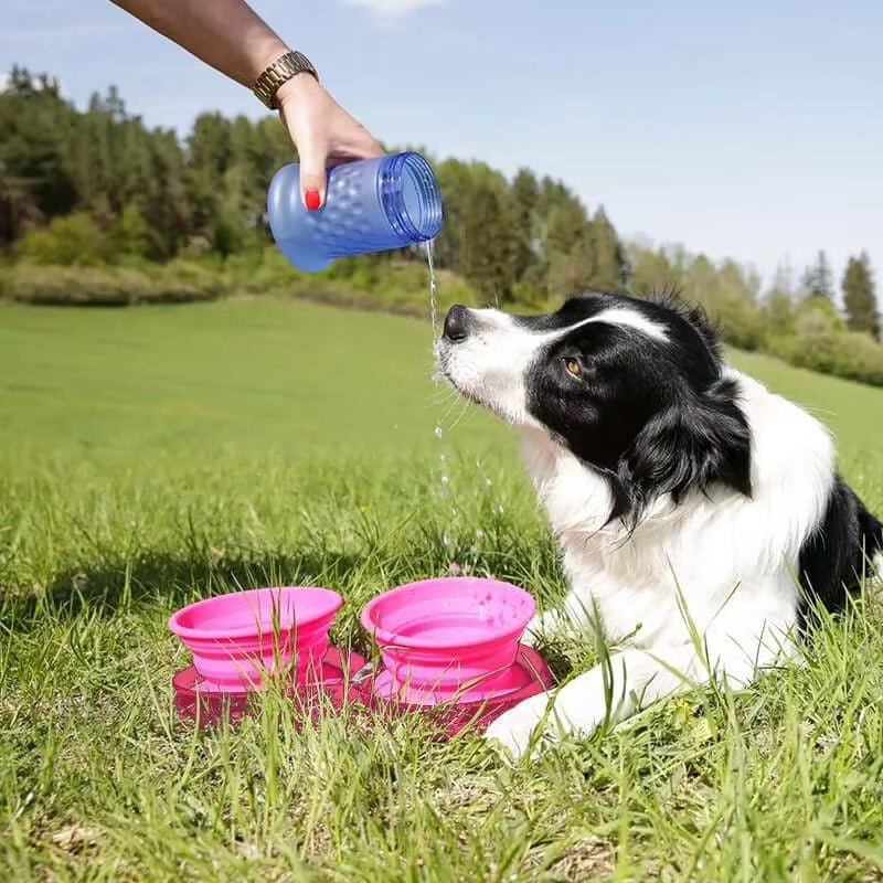 Folding Silicone Pet Bowl Outdoor Pet Double Bowl Tableware Pet Supplies Portable Dog Bowl - Firstpetcentral