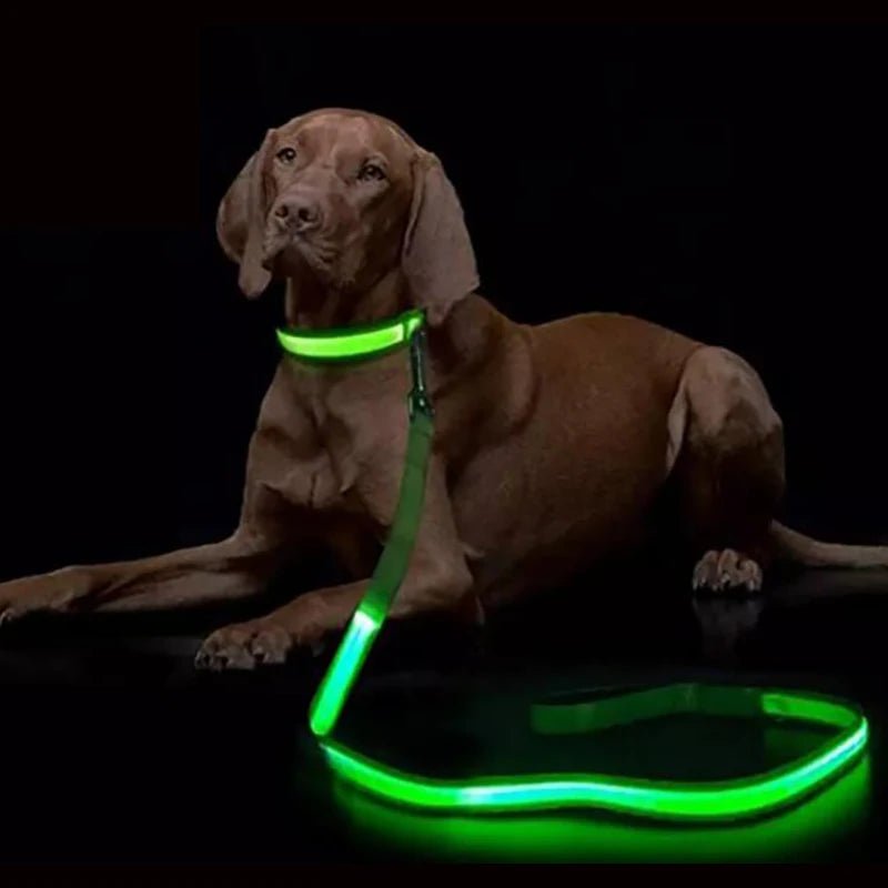 LED Light Up Dog Leash Luminous Rope Lead Leash For Dog Safety Flashing Glowing Dog Collar Harness Electronic Pet Accessories - Firstpetcentral