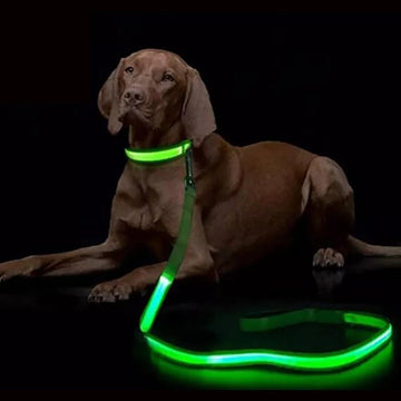 LED Light Up Dog Leash Luminous Rope Lead Leash For Dog Safety Flashing Glowing Dog Collar Harness Electronic Pet Accessories - Firstpetcentral