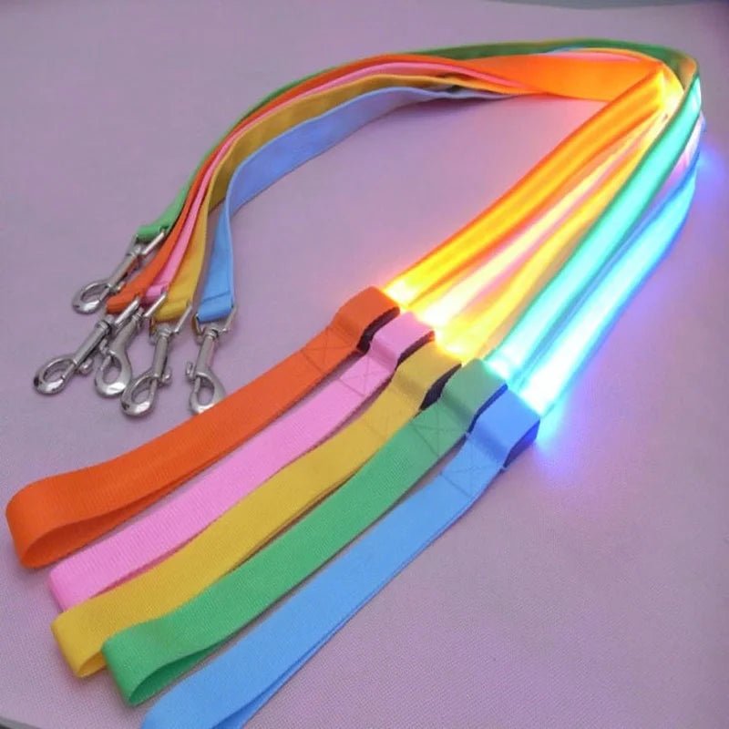 LED Light Up Dog Leash Luminous Rope Lead Leash For Dog Safety Flashing Glowing Dog Collar Harness Electronic Pet Accessories - Firstpetcentral