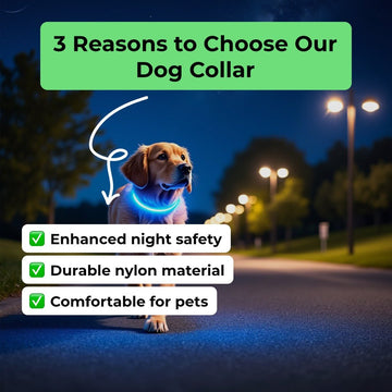 LED Night Safety Flashing Glow In The Dark Luminous Fluorescent Dog Collar - Firstpetcentral