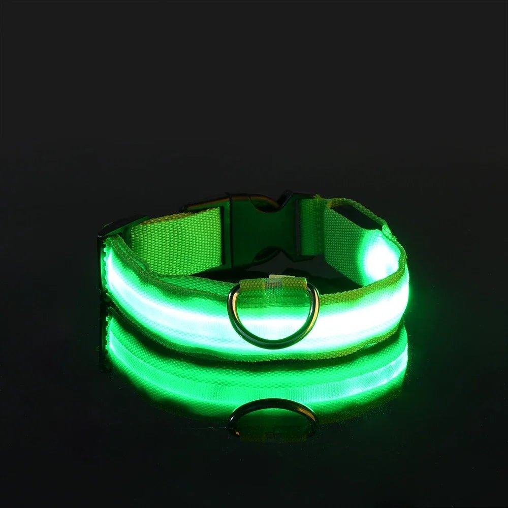 LED Night Safety Flashing Glow In The Dark Luminous Fluorescent Dog Collar - Firstpetcentral