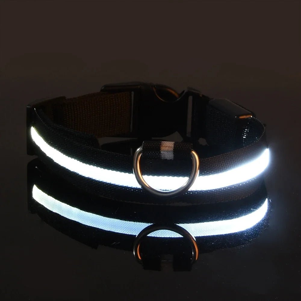 LED Night Safety Flashing Glow In The Dark Luminous Fluorescent Dog Collar - Firstpetcentral