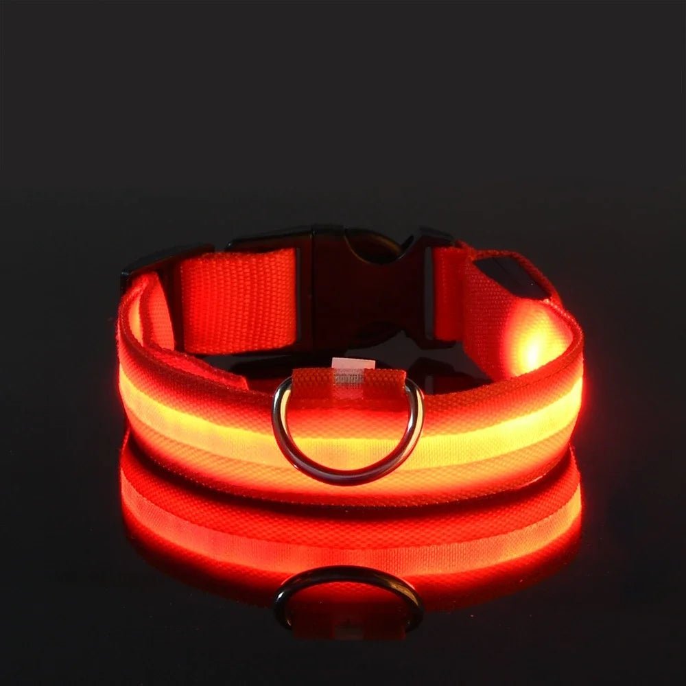 LED Night Safety Flashing Glow In The Dark Luminous Fluorescent Dog Collar - Firstpetcentral