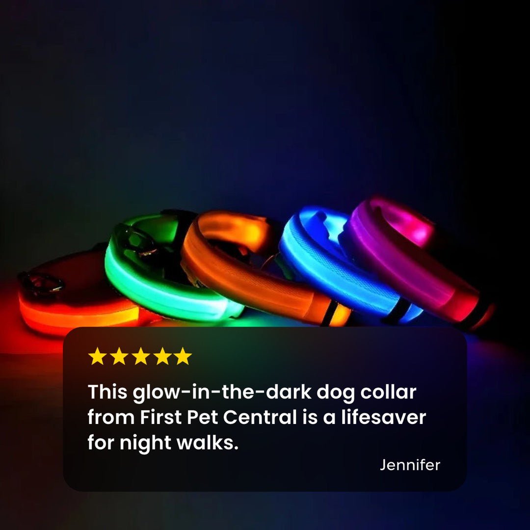 LED Night Safety Flashing Glow In The Dark Luminous Fluorescent Dog Collar - Firstpetcentral