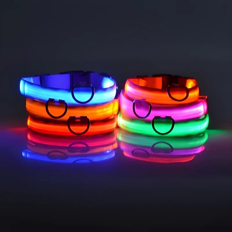 LED Night Safety Flashing Glow In The Dark Luminous Fluorescent Dog Collar - Firstpetcentral