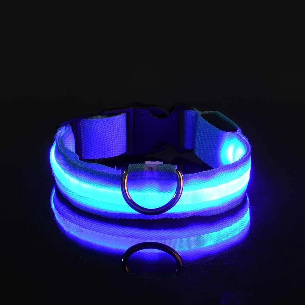 LED Night Safety Flashing Glow In The Dark Luminous Fluorescent Dog Collar - Firstpetcentral