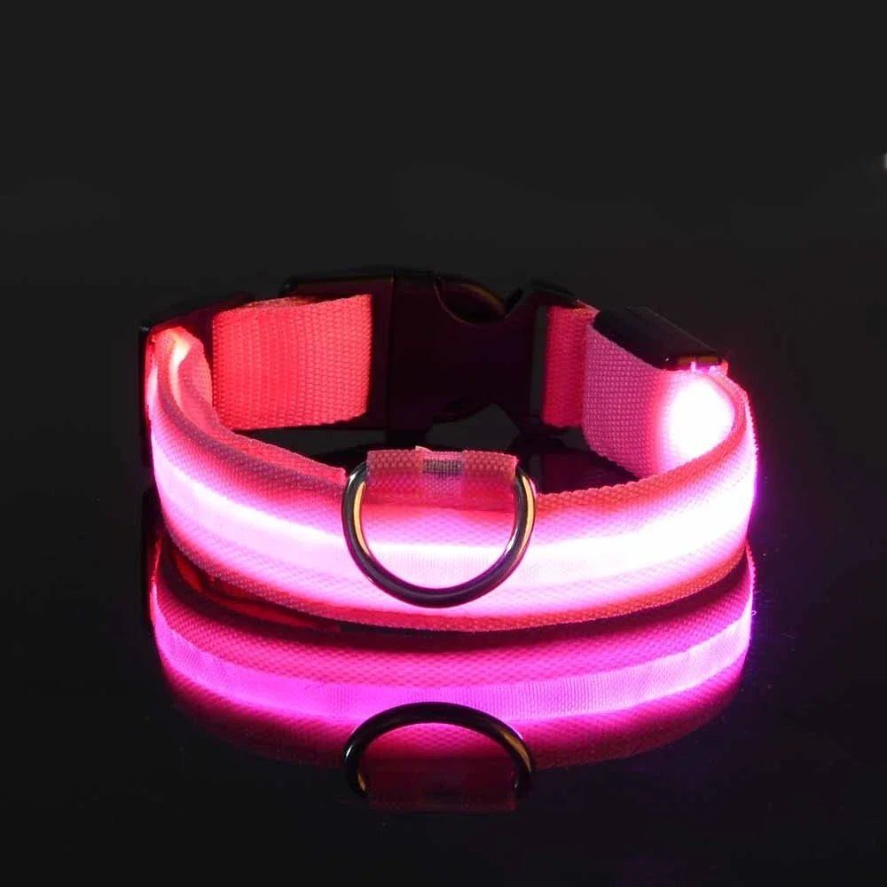 LED Night Safety Flashing Glow In The Dark Luminous Fluorescent Dog Collar - Firstpetcentral