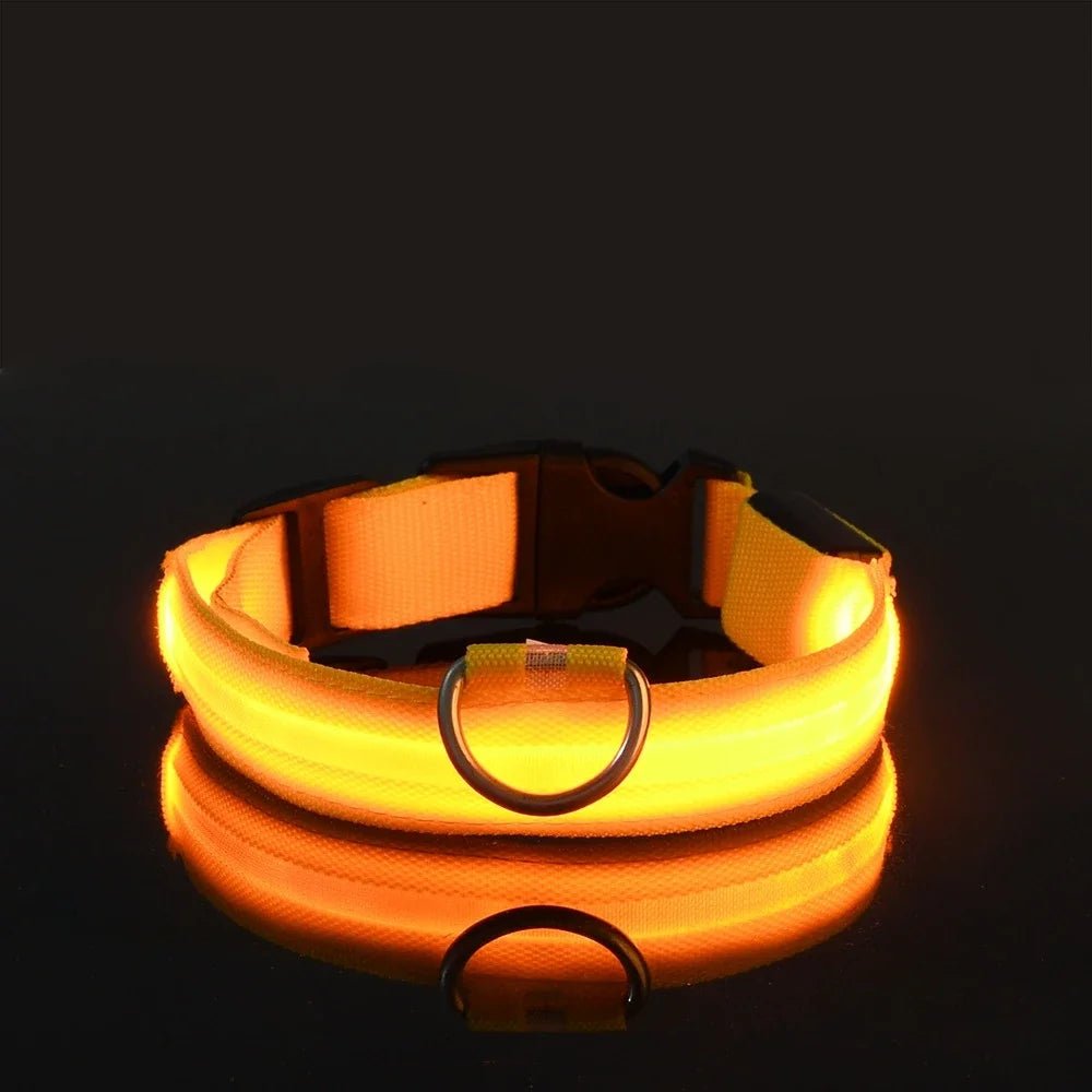 LED Night Safety Flashing Glow In The Dark Luminous Fluorescent Dog Collar - Firstpetcentral