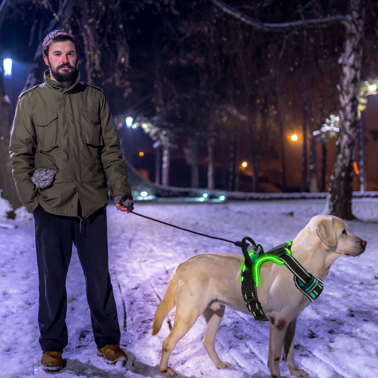 Light Up Dog Harness – No Pull Vest - Firstpetcentral