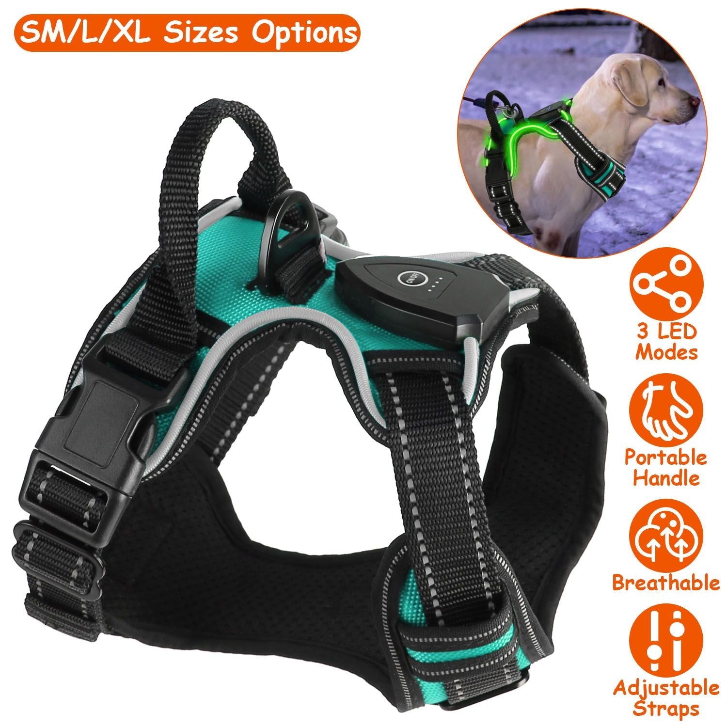 Light Up Dog Harness – No Pull Vest - Firstpetcentral