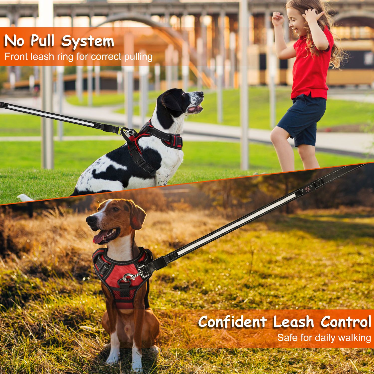 Light Up Dog Harness – No Pull Vest - Firstpetcentral