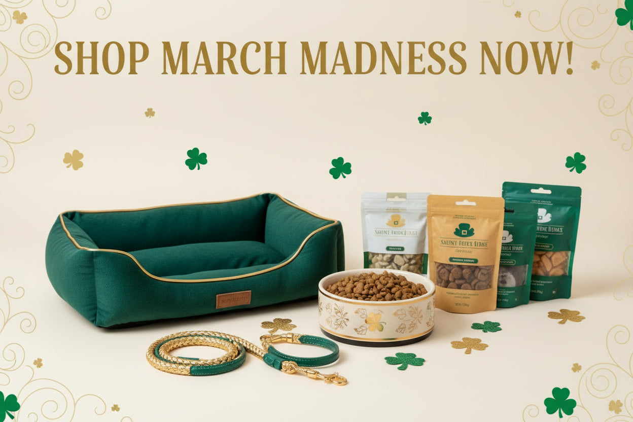 March Madness Promotional Banner