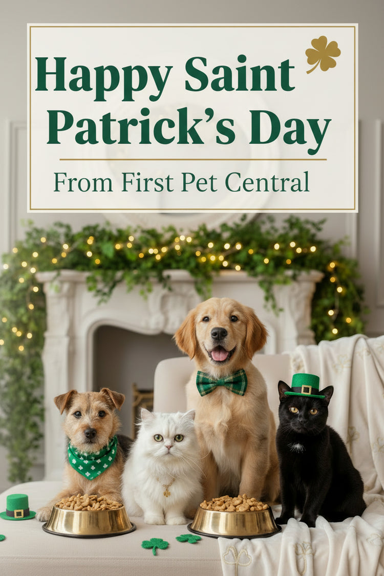 Mobile Saint Patrick's Day Banner