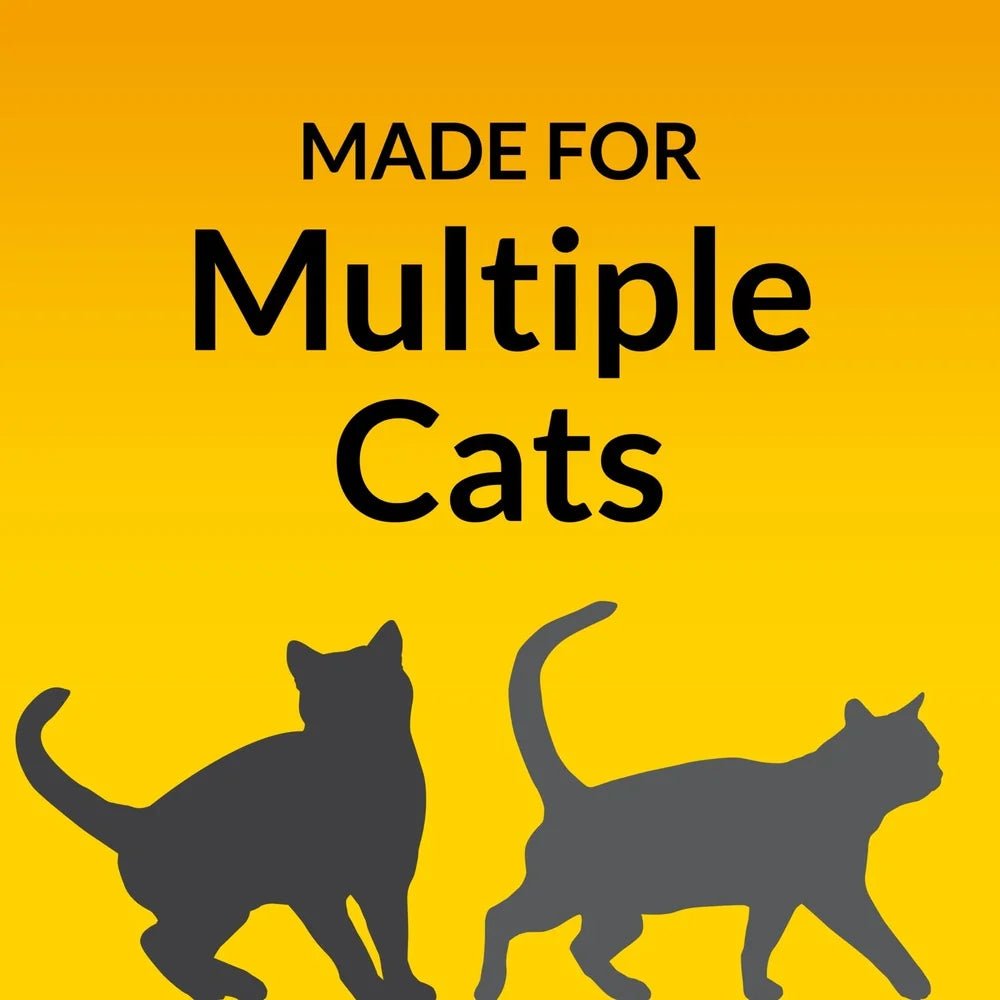 Multi - Cat Non - Clumping Cat Litter 48lb Odor Control Low Dust Clay Litter 24/7 Performance Moisture Absorption Fresh Scent - Firstpetcentral