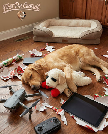 Multipet Lamb Chop Dog Toy with Squeaker – Soft Plush Interactive Chew Toy for Small, Medium & Large Dogs | Holiday Dog Toy Gift - Firstpetcentral