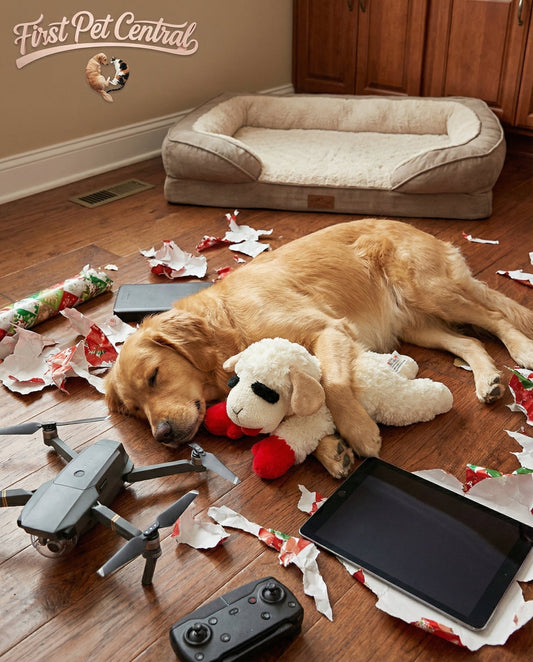 Multipet Lamb Chop Dog Toy with Squeaker – Soft Plush Interactive Chew Toy for Small, Medium & Large Dogs | Holiday Dog Toy Gift - Firstpetcentral