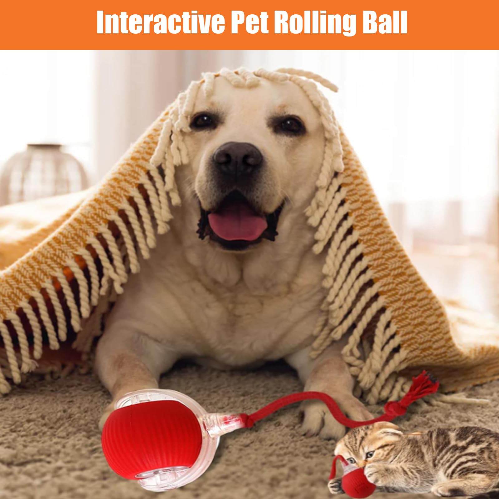 New Design 360° Smart Automatic Interactive Dog Smart Ball Toy Interactive Cat Toys Rolling Ball with USB Charger - Firstpetcentral