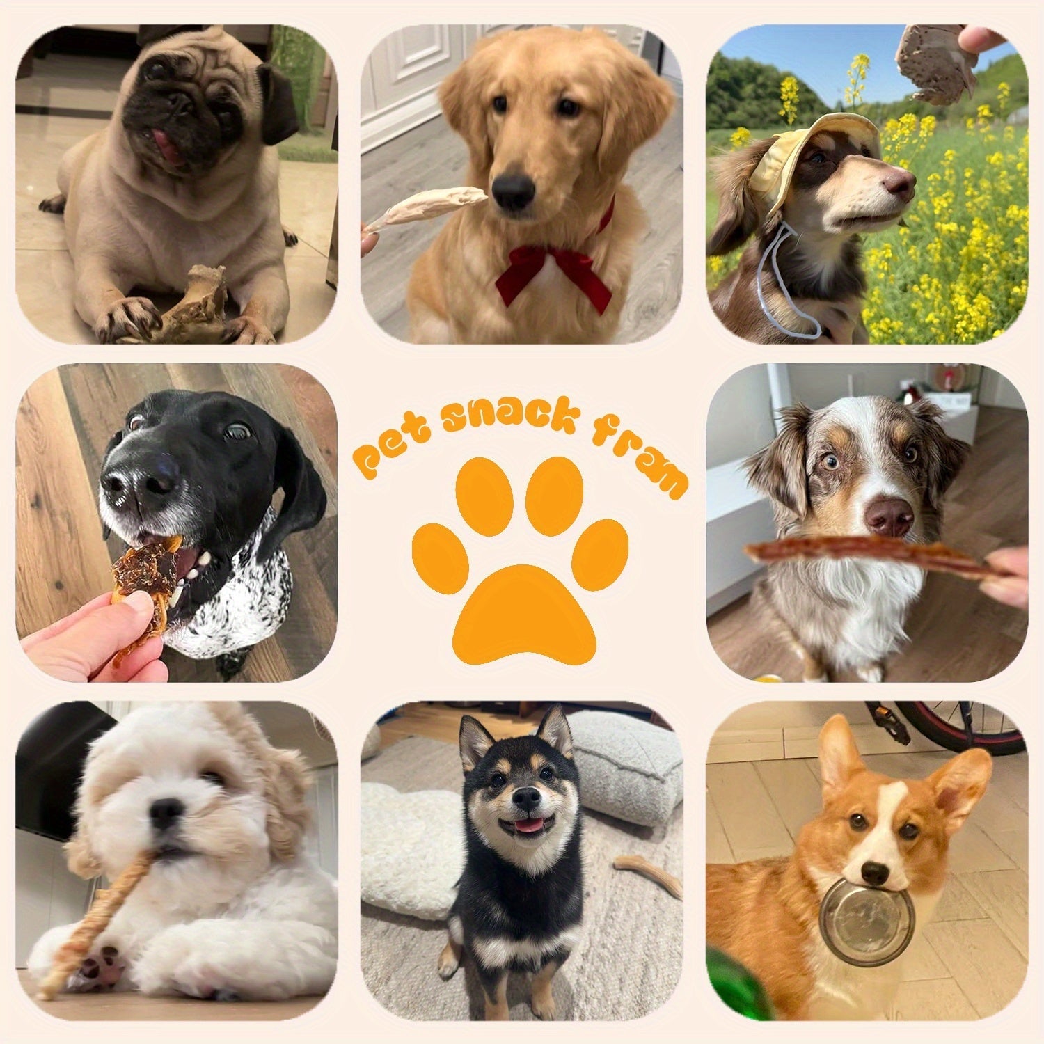 Nutritious Duck Leg Milk Stick Pet Snacks for Cats and Dogs - Ideal for Weight Gain, Teeth Grinding, Dental Cleaning, and Training - Suitable for Small, Medium, and Large Dogs, Pet Food, Teething Sticks - Firstpetcentral