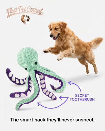 Octopus Shell Squeaky Dog Toy – Plush, Durable, Teeth Cleaning, Interactive - Firstpetcentral