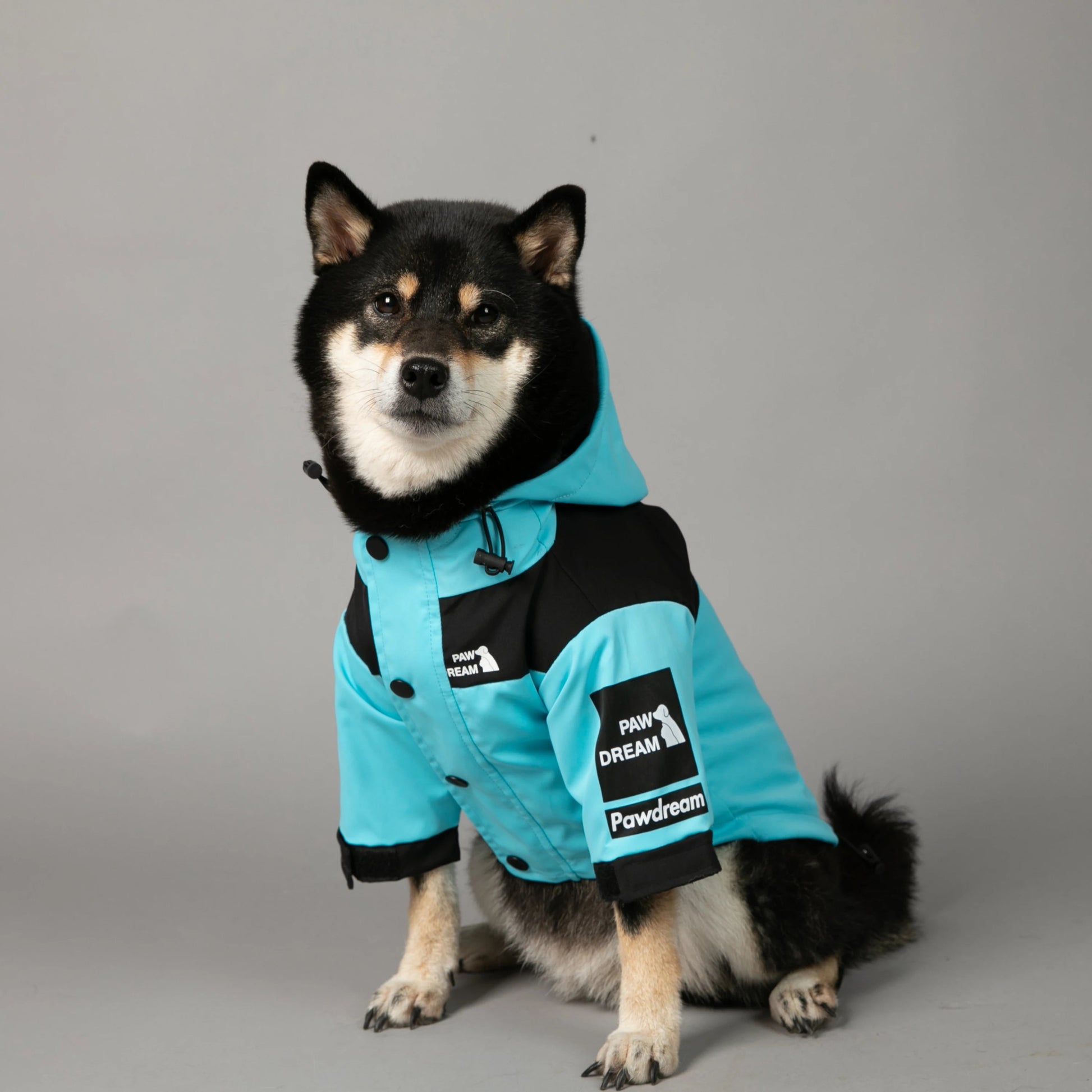 PawDream Dog Clothes Raincoat For Small Big Dogs Wind Coat Windbreaker French Bulldog Hoodie For Dogs Clothes Jacket Chihuahua - Firstpetcentral