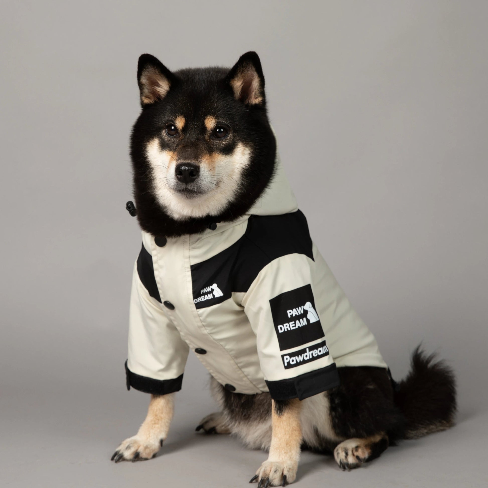 PawDream Dog Clothes Raincoat For Small Big Dogs Wind Coat Windbreaker French Bulldog Hoodie For Dogs Clothes Jacket Chihuahua - Firstpetcentral