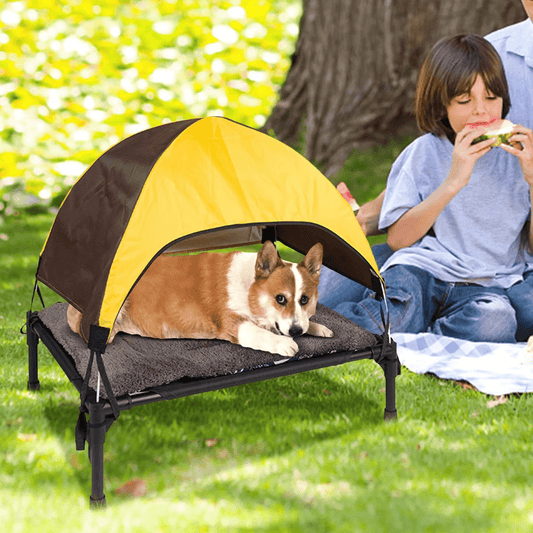 Pet camping marching bed small and medium - sized dogs moisture - proof folding bed cat and dog bed detachable pet tent - Firstpetcentral