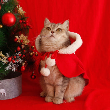 Pet Christmas Cloak Cat Dog Supplies Winter Warm Shawl Cloak - Firstpetcentral