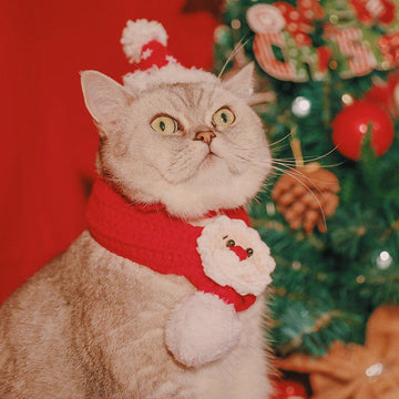 Pet Christmas Hat Hand Woven - Firstpetcentral