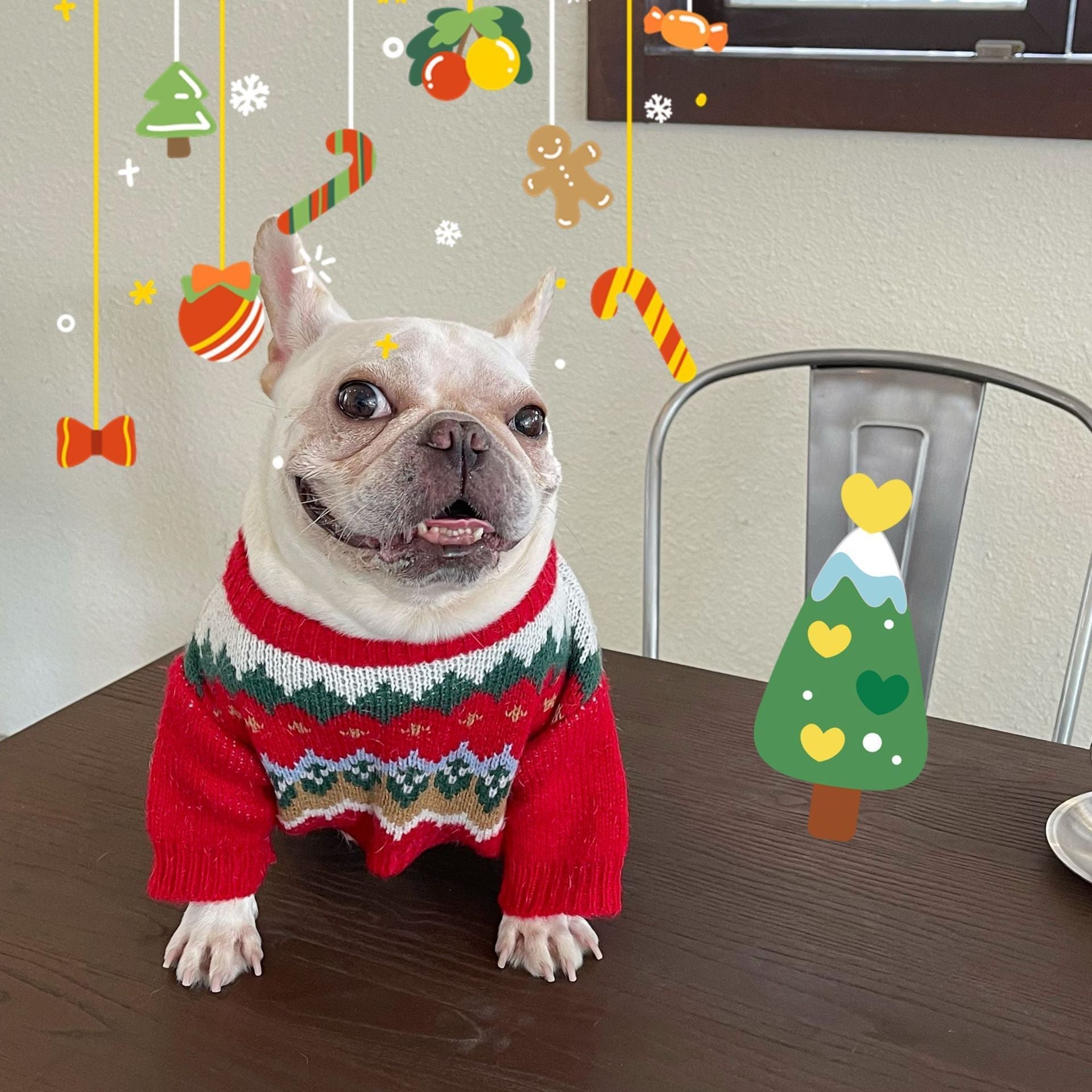Pet Christmas Sweater Dog Cat Fight - Firstpetcentral