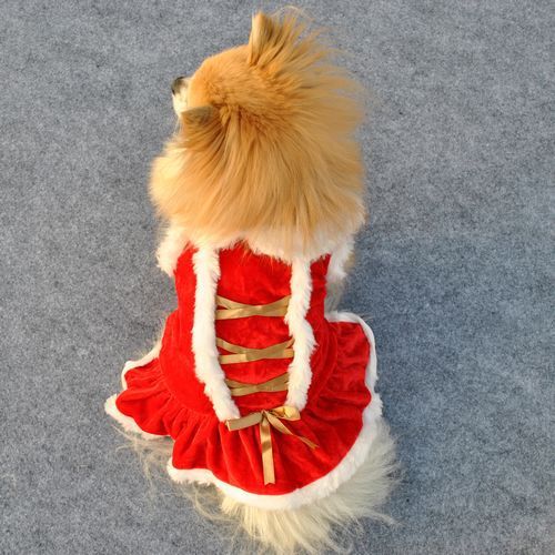 Pet Clothing New Year And Christmas Classic Red Skirt - Firstpetcentral