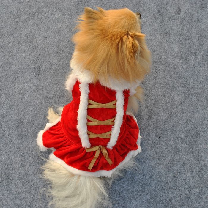 Pet Clothing New Year And Christmas Classic Red Skirt - Firstpetcentral