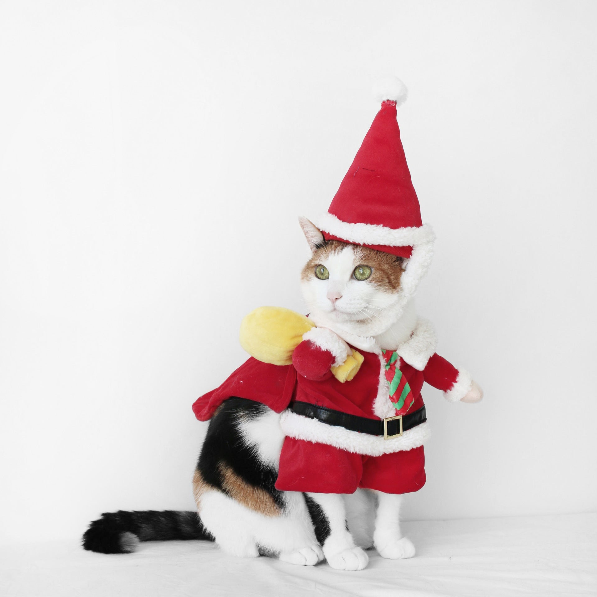 Pet Dog Cat Winter New Christmas Double Flannel Thick - Firstpetcentral