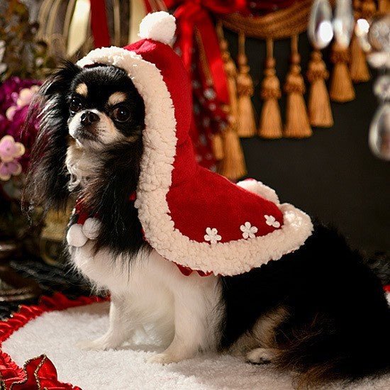 Pet Dog Christmas Holiday Cloak - Firstpetcentral