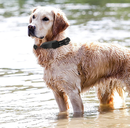 Pet electronic fence GPS wireless electronic fence intelligent positioning dog trainer collar intelligent barking stop outdoor - Firstpetcentral