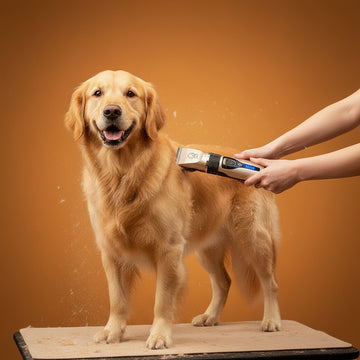 Cordless Rechargeable stainless steel Clippers for dogs and cats- Firstpetcentral
