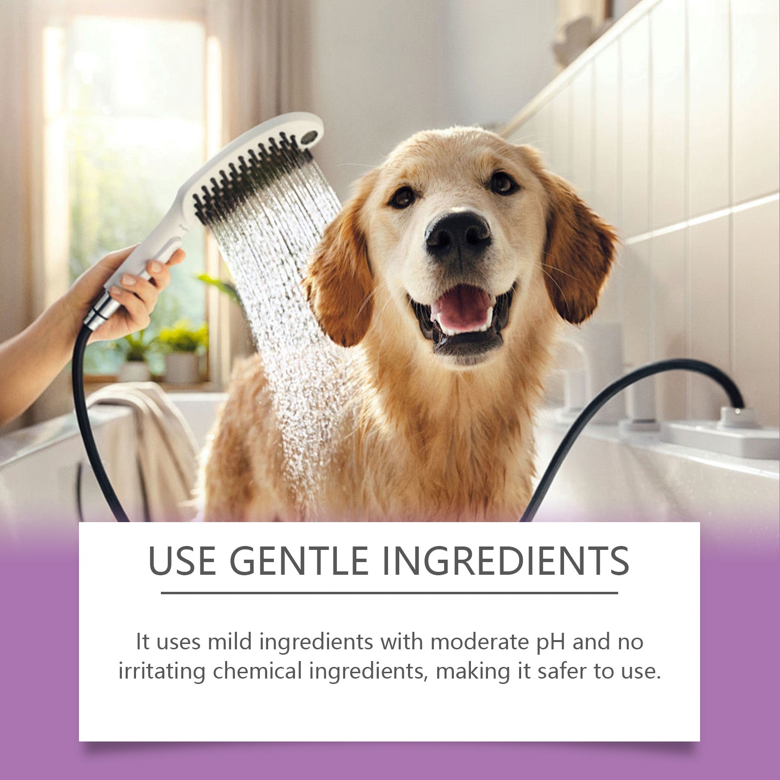 Pet Lavender Shampoo Gently Cleans Pet Cat And Dog Hair Fluffy Smooth And Fragrant - Firstpetcentral