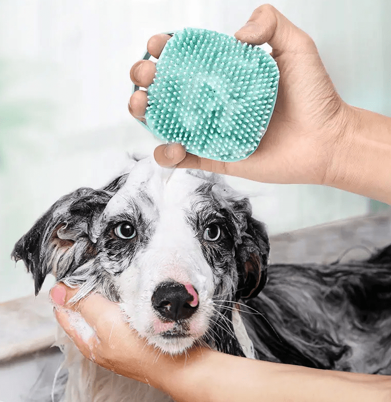 Pet shower brush dog massage brush pet massage glove cat grooming brush pet product bathing tool - Firstpetcentral