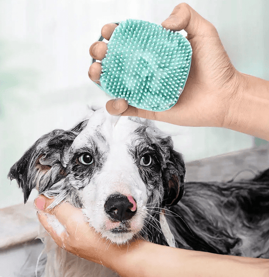 Pet shower brush dog massage brush pet massage glove cat grooming brush pet product bathing tool - Firstpetcentral
