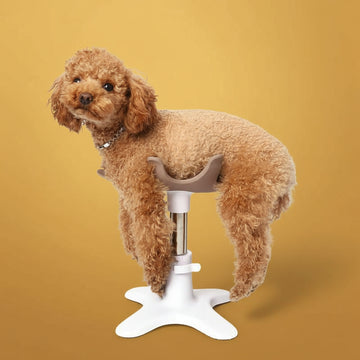 Pet Shower Grooming Table, Dog Fixing Rack & Bathing Hair Dryer Bracket for Small & Medium Pets - Firstpetcentral