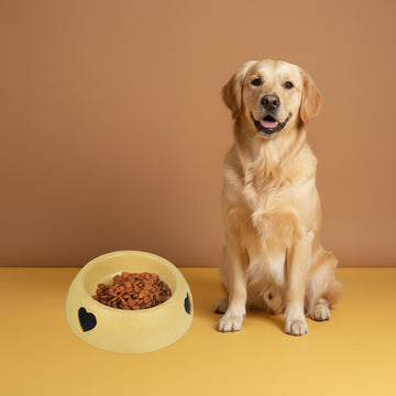 Pet Supplies Dog Bowl Rice Bowl Plastic Love Single Bowl Pet Bowl Cat Food Bowl - Firstpetcentral